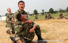 突击部队在线视频观看,惊心动魄的在线直播揭秘