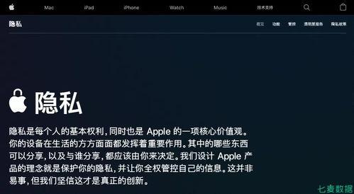 人人入人人爱在线视频