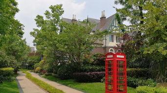 青城乐在线视频,探寻古韵新声，共赏视听盛宴