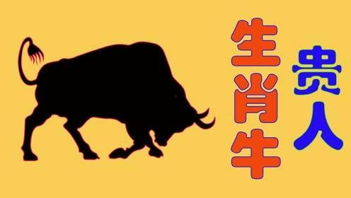 videos牛牛碰在线视频,畅享欢乐竞技时光