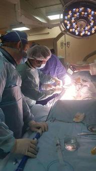 手术系列在线视频,深度解析手术技巧与临床应用