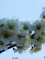 山外山在线视频