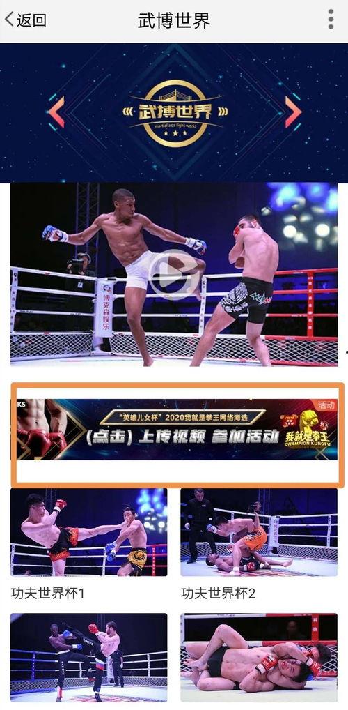 王塞在线视频网站,揭秘热门在线视频网站的精彩瞬间