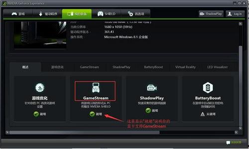 vr在线视频免费视频