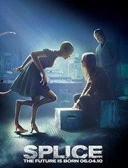 cijilutv人兽在线视频,揭秘网络暗流涌动的伦理边界